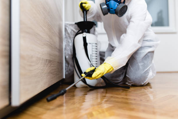 Pest Prevention Services in San Leandro, CA