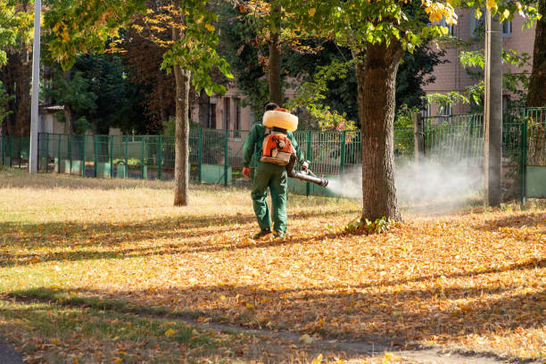 Best Wasp Removal Services  in San Leandro, CA