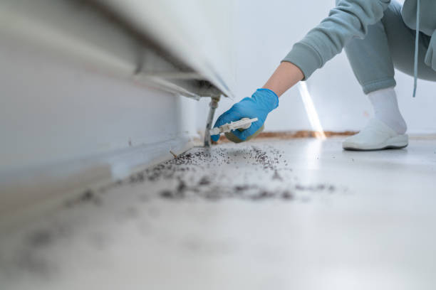 Best Residential Pest Control  in San Leandro, CA
